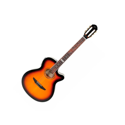 Tagima Vegas DSBS Nylon Guitar